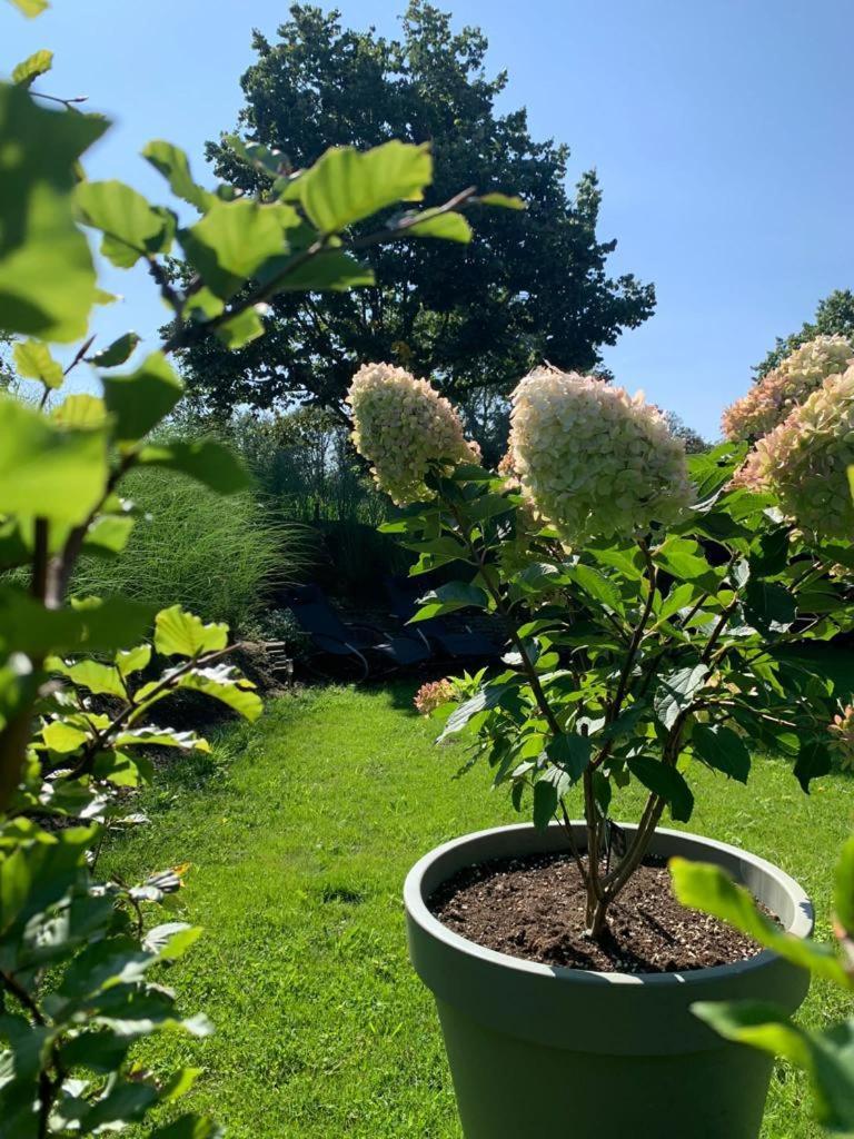 De Slaaperij Villa Wilbertoord Bagian luar foto